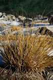 dsc_6729.jpg